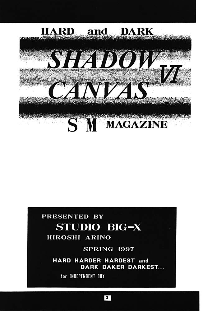 [Studio Big-X (Hiroshi Arino)] Shadow Canvas 6 