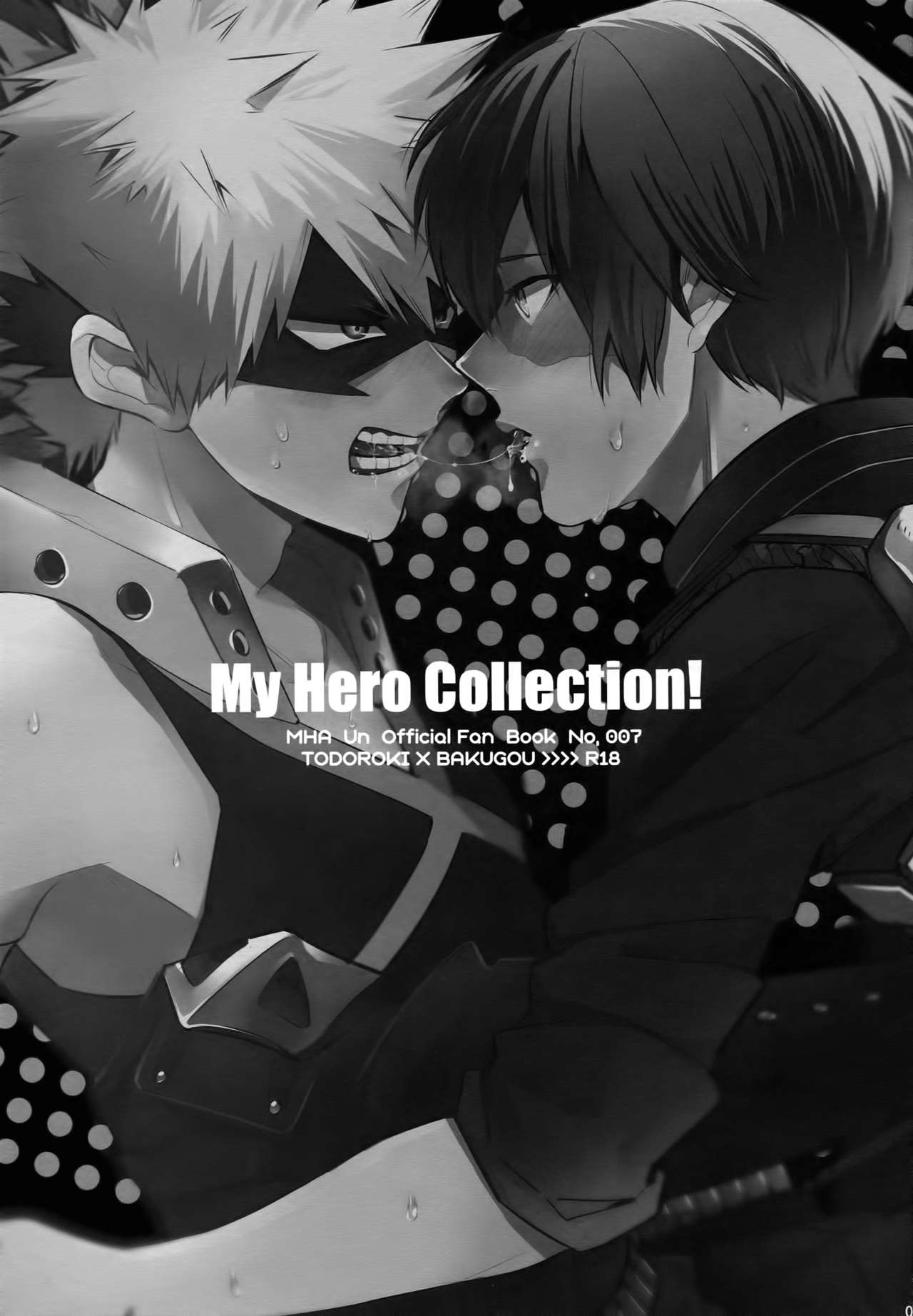 (C92) [APOLLO (JIRO)] My Hero Collection! (Boku no Hero Academia) (C92) [APOLLO (JIRO)] My Hero Collection! (僕のヒーローアカデミア)