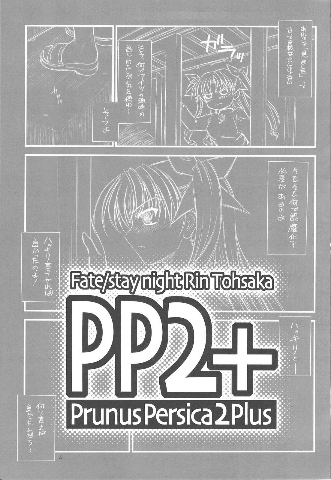 (C75)[Yakan Hikou (Inoue Tommy)] PP2+ (Fate) (C75)[夜間飛行 (いのうえとみい)] PP2+ (Fate)