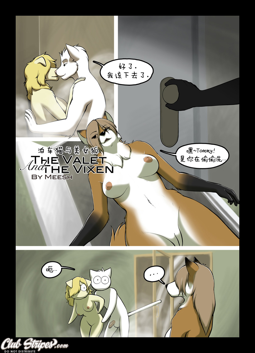[Meesh] The Valet and the Vixen Chapter 3 | 泊车猫与美女狐 3 [Chinese] [刚刚开始玩汉化] 